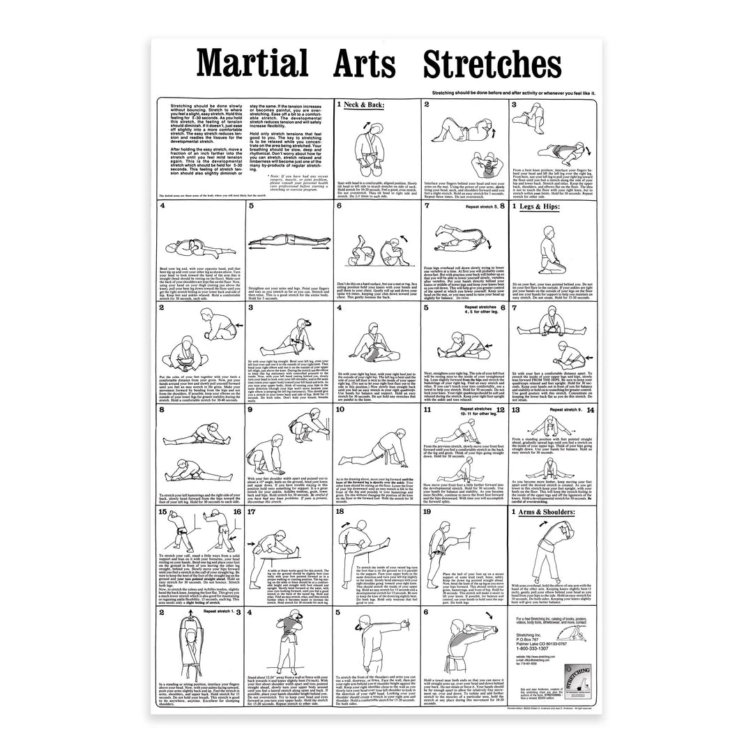 Proforcema Posters Martial Arts Stretches Poster 2 Proforcema Posters Martial Arts Stretches Poster