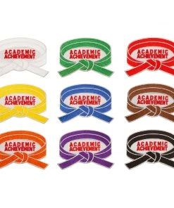 Proforcema Belt Achievement Patch