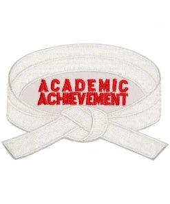 Proforcema Belt Achievement Patch