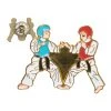 PROFORCEMA Lapel Pins Sparring Pin