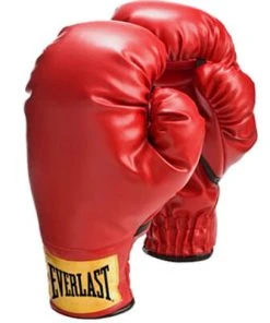 Proforcema Everlast Laceless Boxing Training Gloves