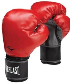 Proforcema BOXING Everlast Classic Training Gloves 12 Oz