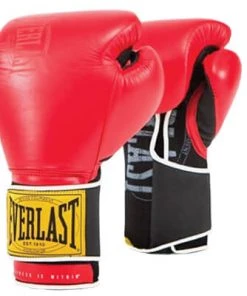Proforcema Everlast 1910 Classic Training Gloves BOXING