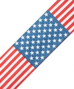 Proforcema USA Martial Arts Headband