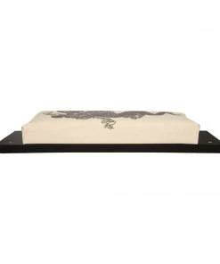 Proforcema Pro Makiwara Board - Dragon