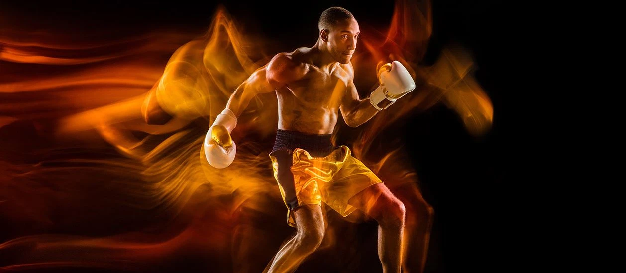 PROFORCEMA Official Site -PROFORCEMA Official Site 1 1